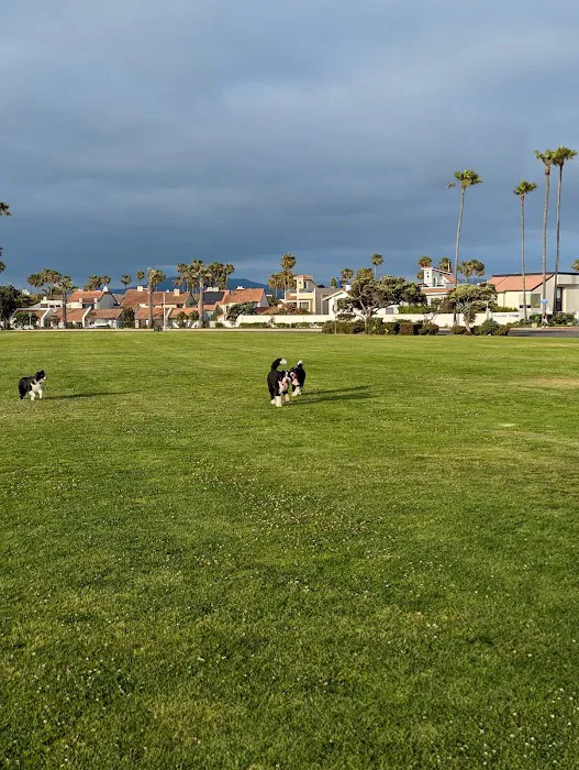 Coronado Cays Dog Park 1