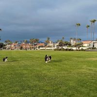 Coronado Cays Dog Park ico