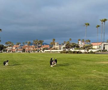 Coronado Cays Dog Park