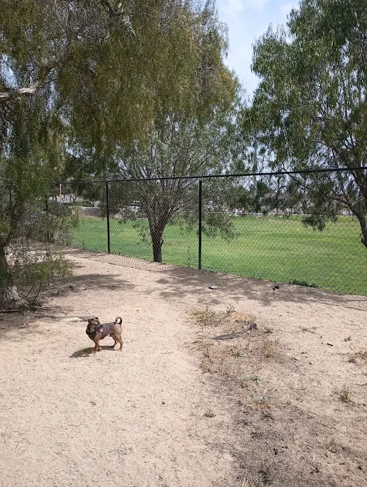 Dog park 9