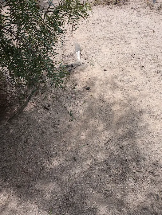 Dog park 1