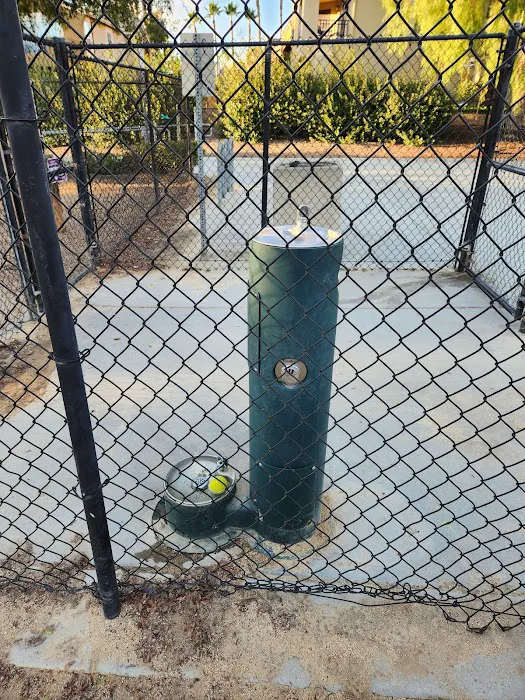 Dog park 4