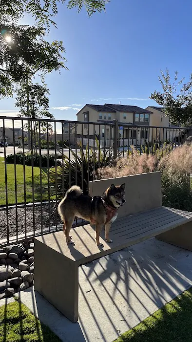 Escaya Dog Park 1