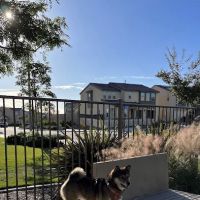 Escaya Dog Park ico