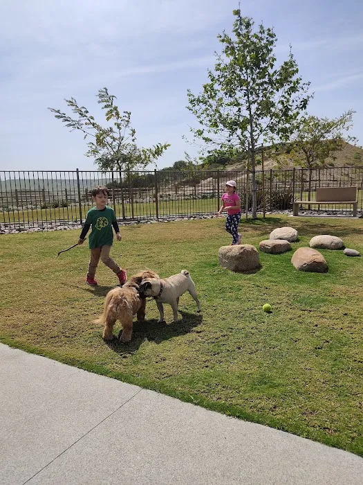Escaya Dog Park 10