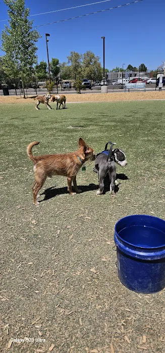 Rio Grande Triangle Park 2