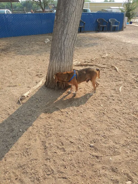 Rio Grande Triangle Park 4