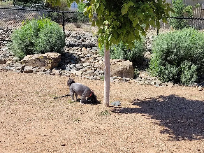 Kirtland Dog Park 1