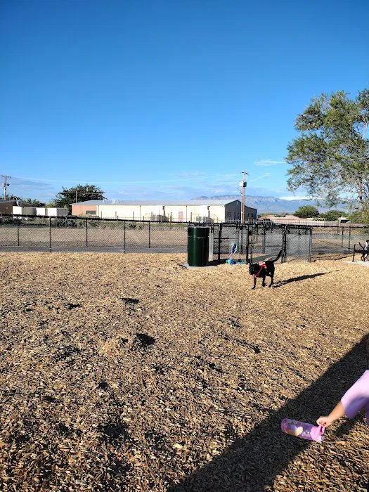 Alamosa Dog Park 2