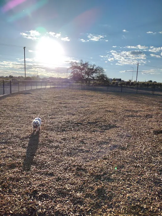 Alamosa Dog Park 8