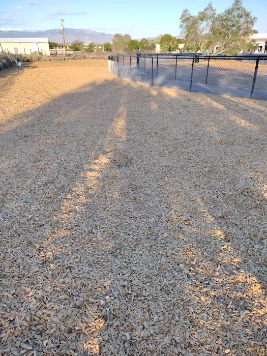 Alamosa Dog Park 7