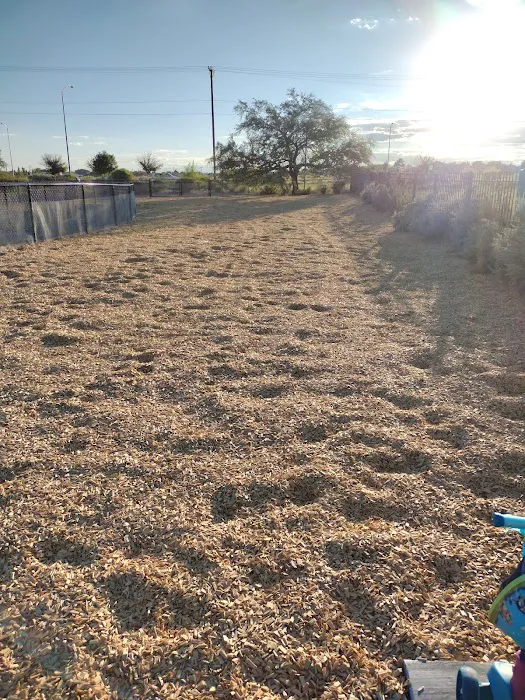 Alamosa Dog Park 9