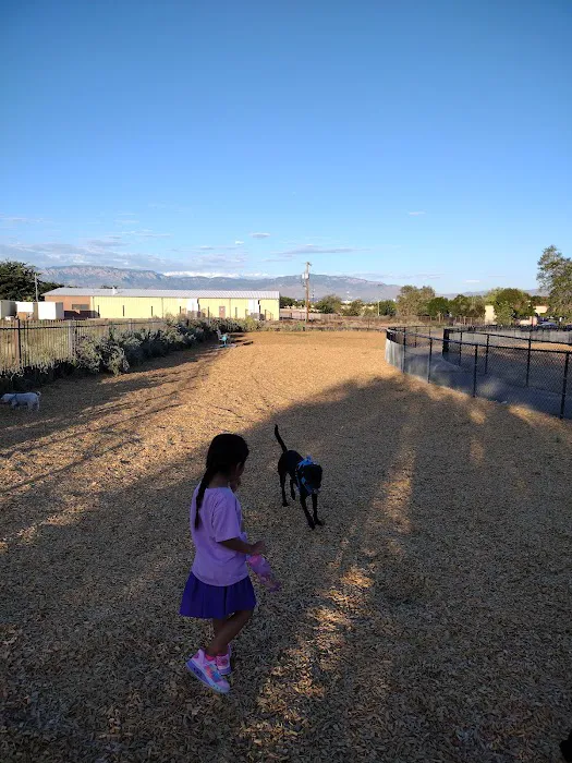 Alamosa Dog Park 6