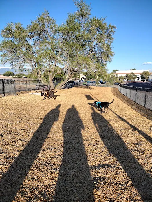 Alamosa Dog Park 5