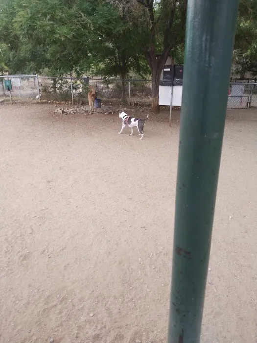 Tom Bolack Dog Park 1