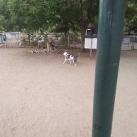 Tom Bolack Dog Park ico