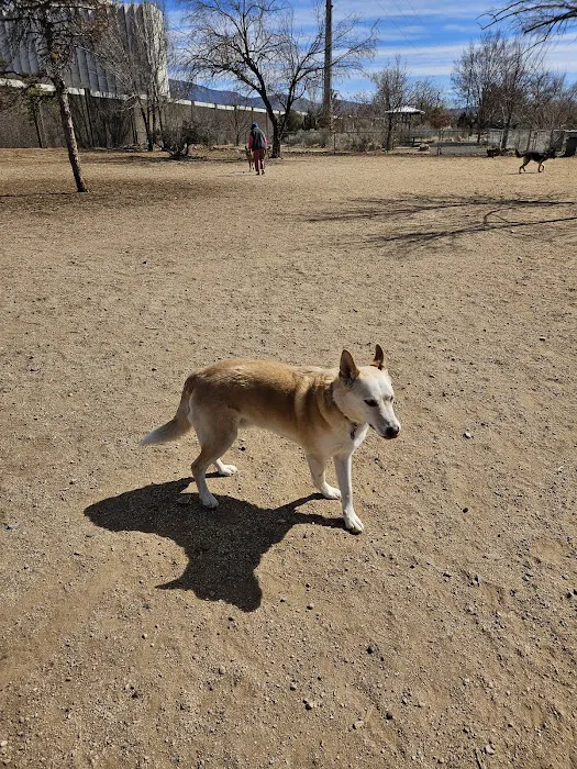 Tom Bolack Dog Park (Small & Large Dog Parks) 8