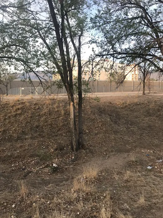 Tom Bolack Dog Park (Small & Large Dog Parks) 9