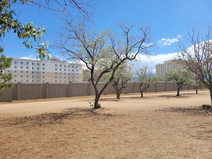 Tom Bolack Dog Park (Small & Large Dog Parks) 7