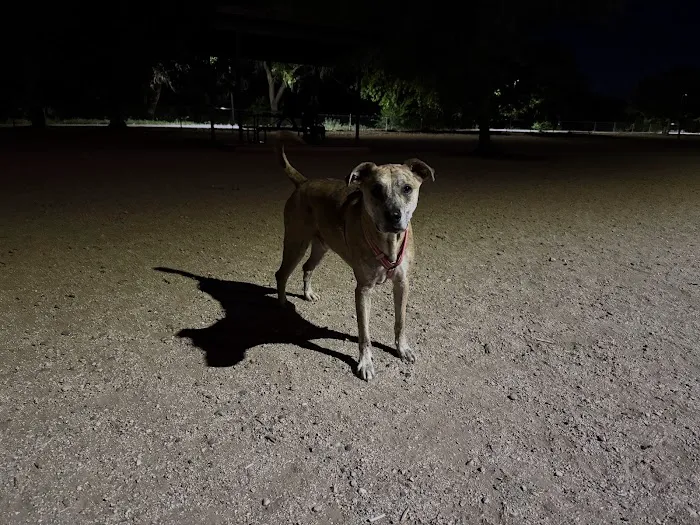 Tom Bolack Dog Park (Small & Large Dog Parks) 6