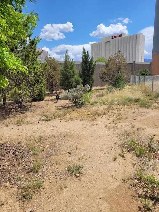 Tom Bolack Dog Park (Small & Large Dog Parks) 4
