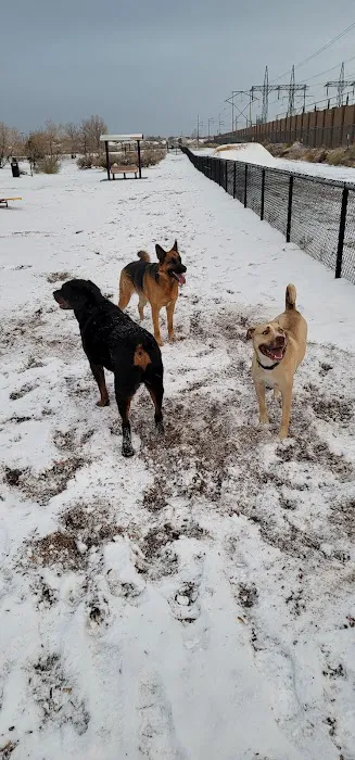 Ouray Dog Park 4
