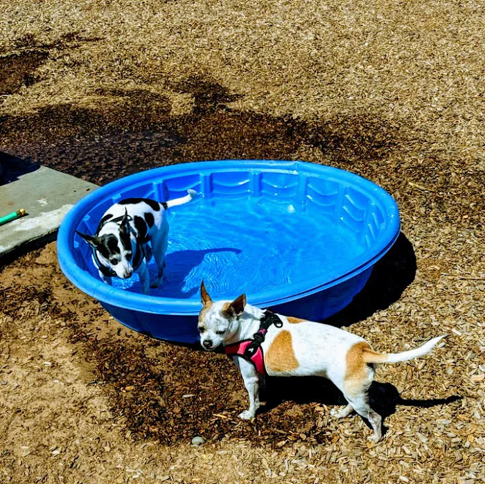 Ouray Dog Park 7