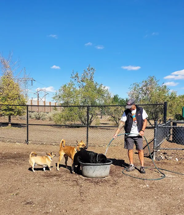 Ouray Dog Park 3