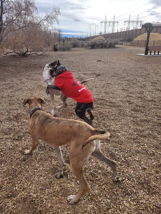Ouray Dog Park 6