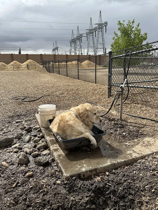 Ouray Dog Park 10