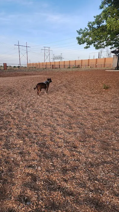 Ouray Dog Park 9