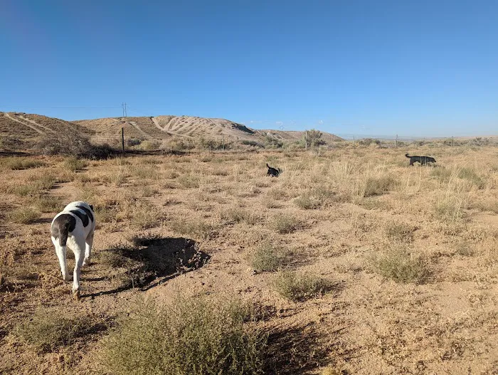 Montessa Dog Park 10