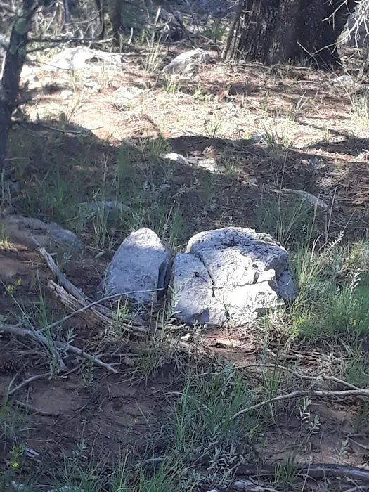 Montessa Dog Park 6