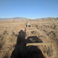 Montessa Dog Park ico