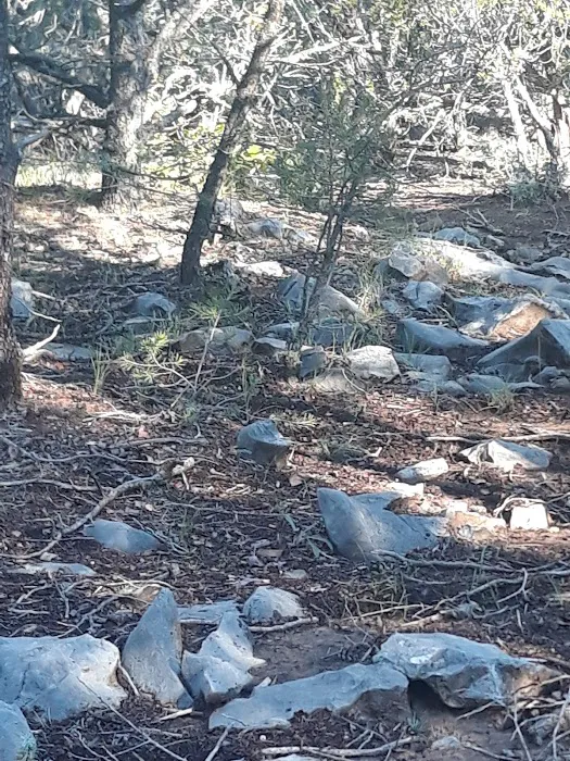 Montessa Dog Park 3