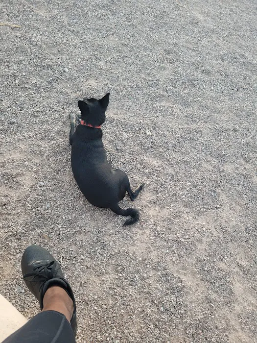 Abel's Dog Park 3