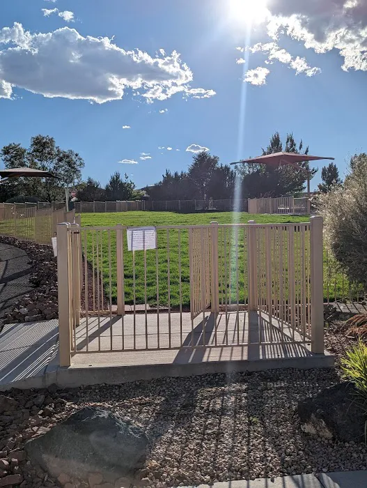 Abel's Dog Park 8