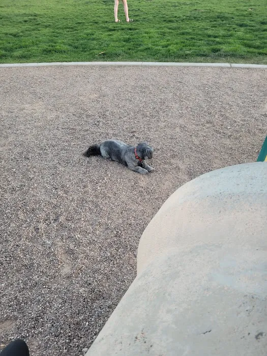 Abel's Dog Park 5
