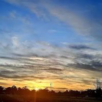 Kirtland Dog Exercise Area ico
