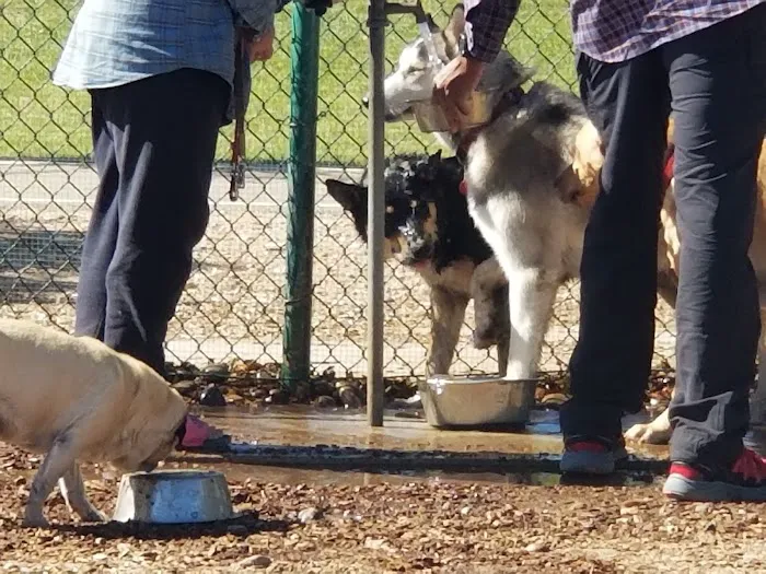 Santa Fe Village Dog Park 2