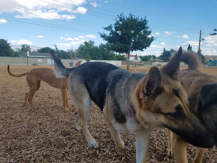 Santa Fe Village Dog Park 5