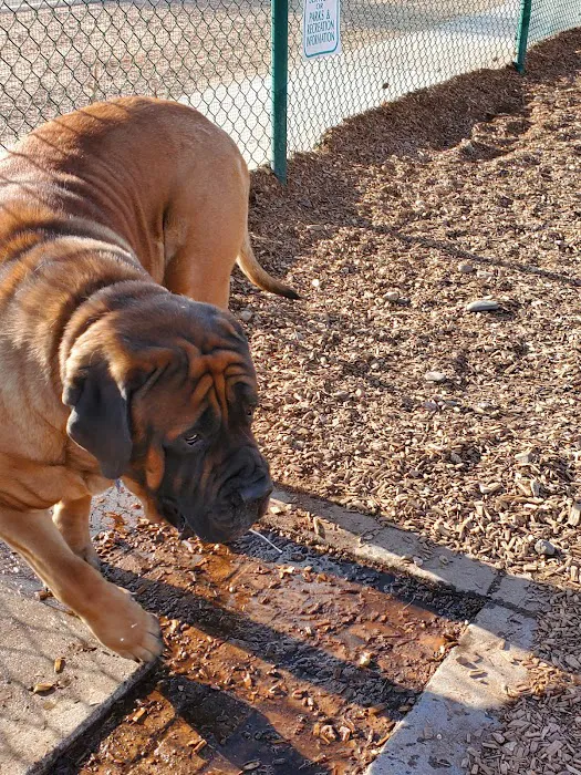 Santa Fe Village Dog Park 9