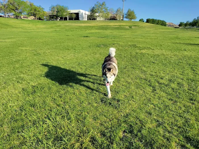Santa Fe Village Dog Park 1