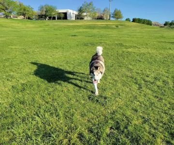 Santa Fe Village Dog Park