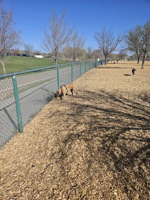 Santa Fe Village Dog Park 10