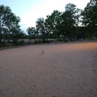 Los Altos Park ico