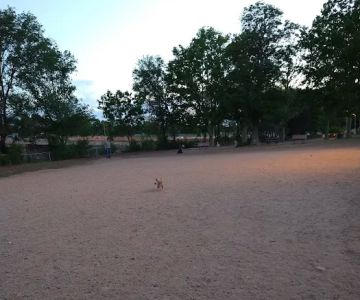 Los Altos Park