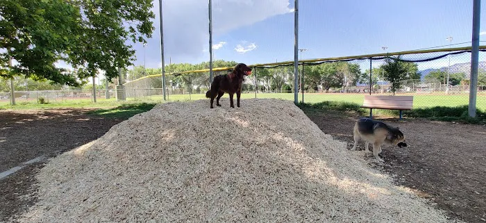 Los Altos Park 2