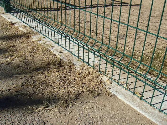 sandia vista dog park 10