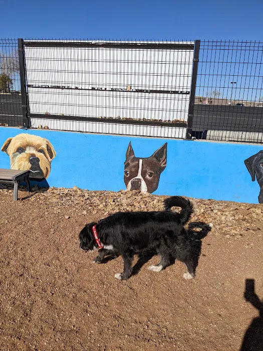 Cottonwood Mall Dog Park 7